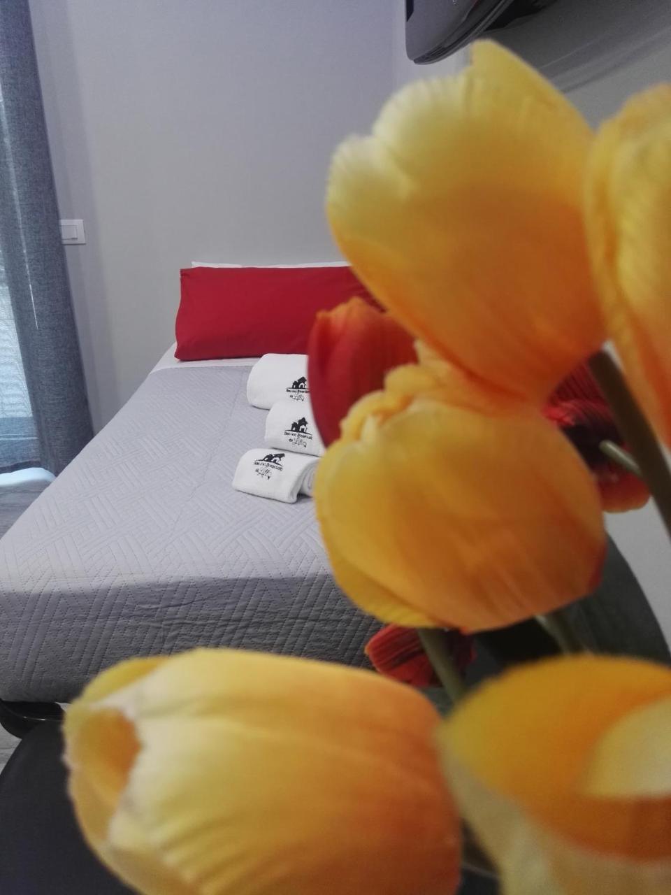 B&B Da Lillo Frosinone Ngoại thất bức ảnh